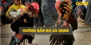 Hướng dẫn - QQ88 - winzora69