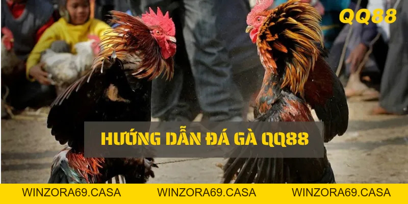 QQ88 Link Vào Không Bị Chặn – 3 Giây Mở Cổng Chuẩn  - winzora69